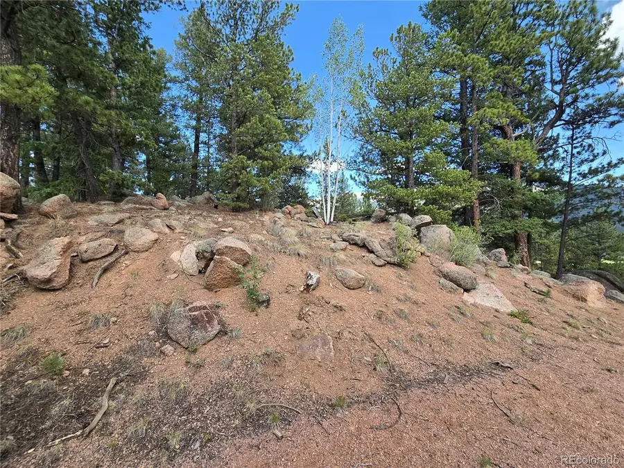 222 Blue Spruce Rd, Divide, CO 80814 - #3