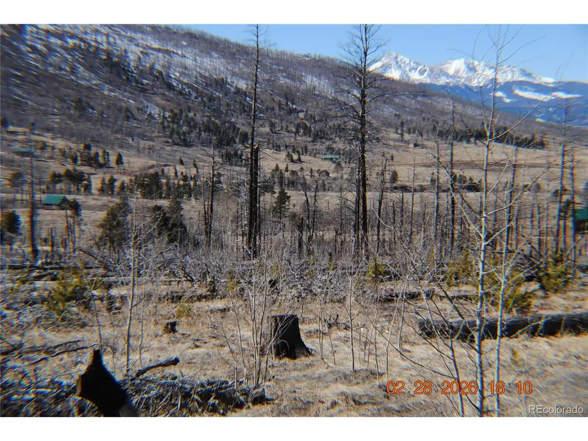 1043 Saul Pl, Fort Garland, CO 81133 - #1