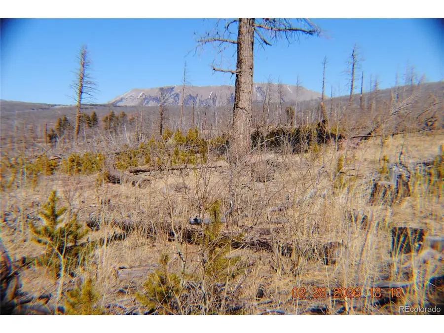 1043 Saul Pl, Fort Garland, CO 81133 - #2