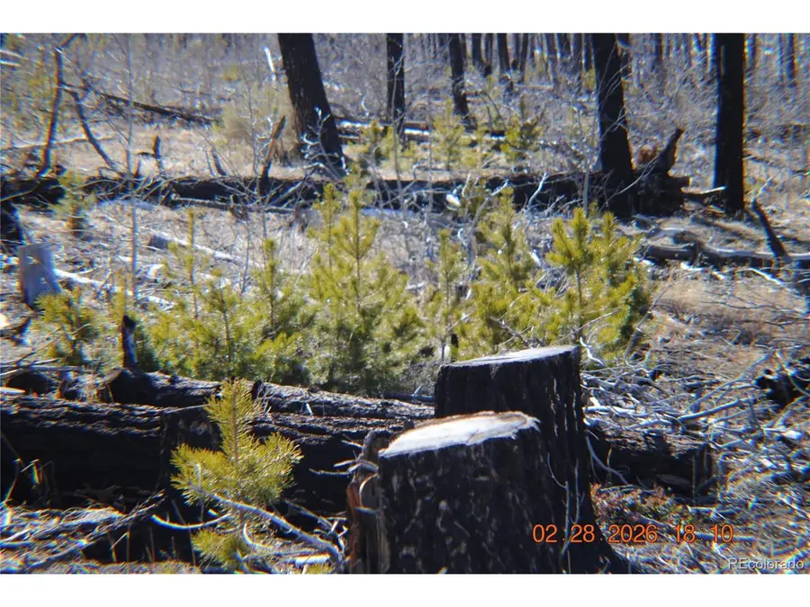 1043 Saul Pl, Fort Garland, CO 81133 - #3