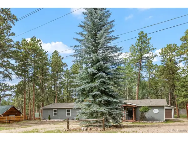 450 County Road Rd, Woodland Park, CO 80863