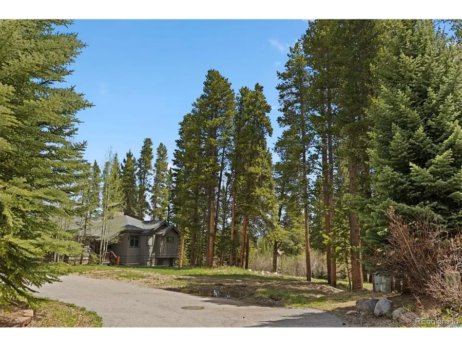 28 Tall Pines Dr, Breckenridge, CO 80424 - #3