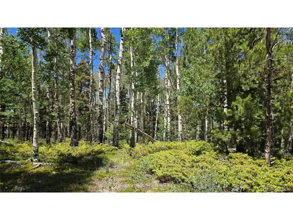 6748 Starkweather Rd, San Luis, CO 81152