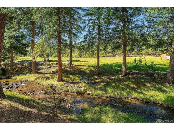 28268 Shadow Mountain Dr, Conifer, CO 80433