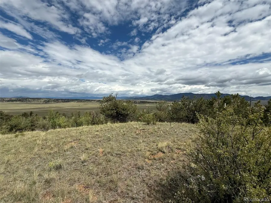 1769 Settele Dr, Hartsel, CO 80449 - #2