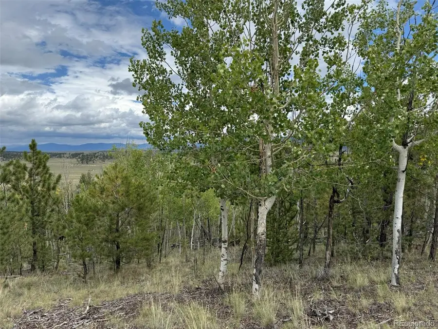 1769 Settele Dr, Hartsel, CO 80449 - #3