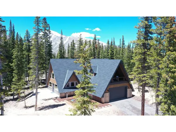 297 Robertson Ln, Breckenridge, CO 80424