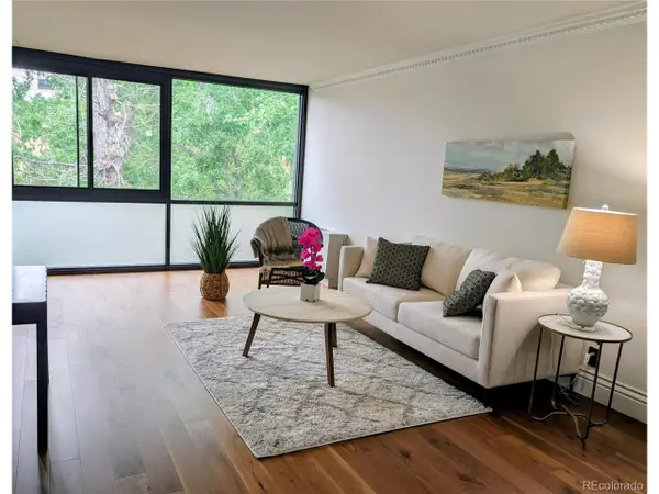 1050 N Corona St #308, Denver, CO 80218