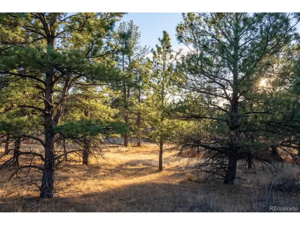 10421 Remmick Ridge Rd, Parker, CO 80134
