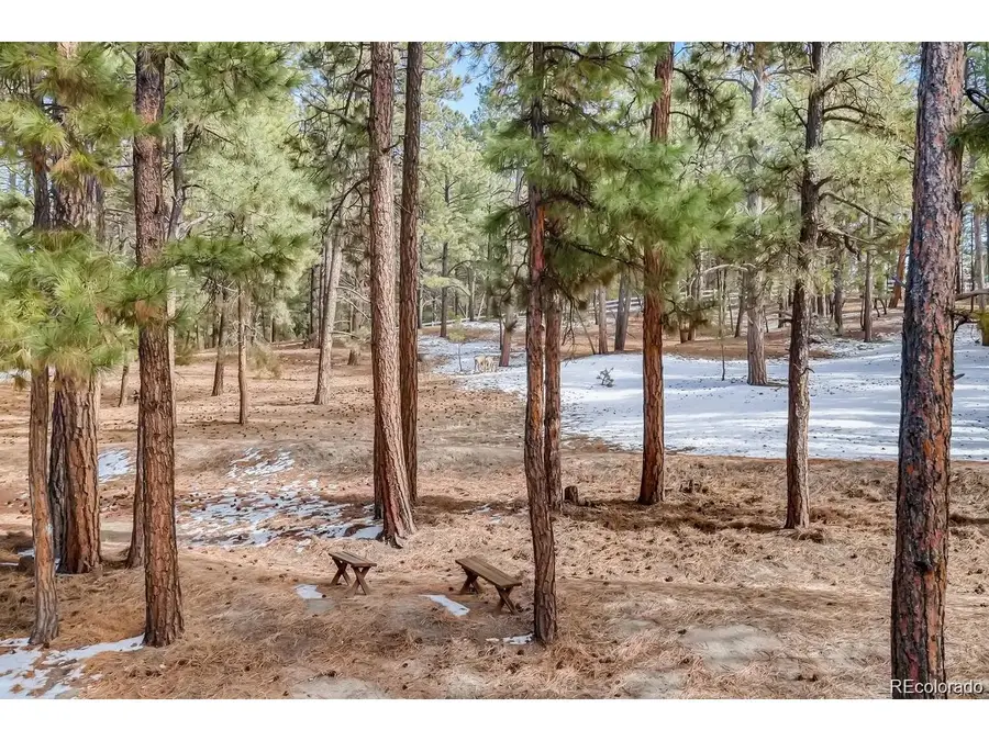 36424 Forest Trl, Elizabeth, CO 80107 - #3