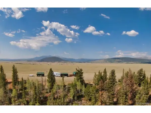 4335 Meier Ridge Trl, Fairplay, CO 80440