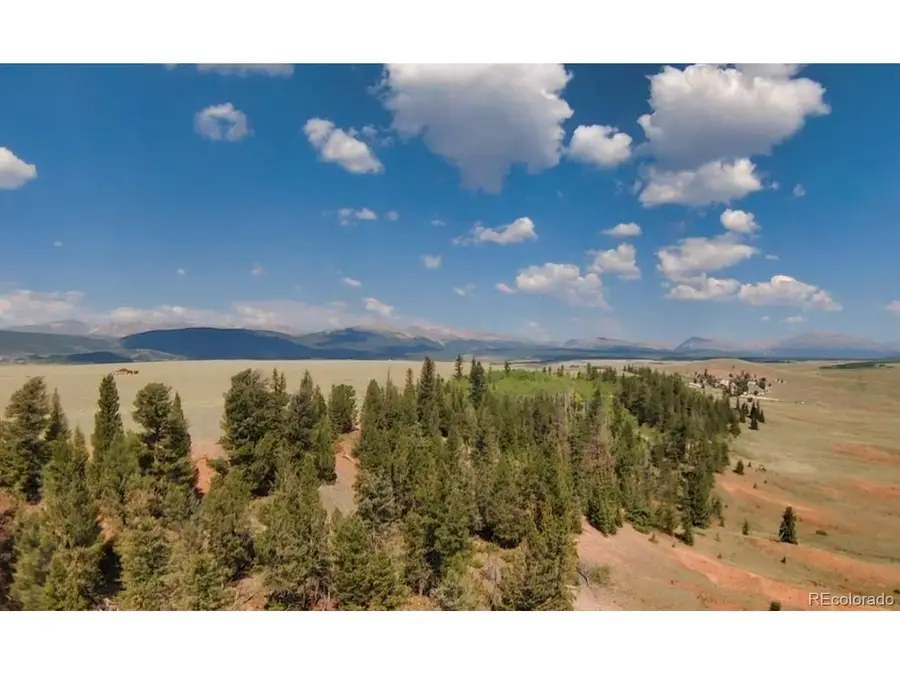 4335 Meier Ridge Trl, Fairplay, CO 80440 - #2
