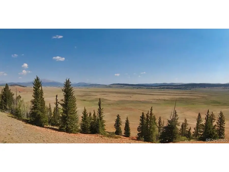 4335 Meier Ridge Trl, Fairplay, CO 80440 - #3
