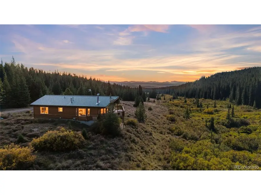 162 S Silk Sisters Pl, Fairplay, CO 80440 - #2