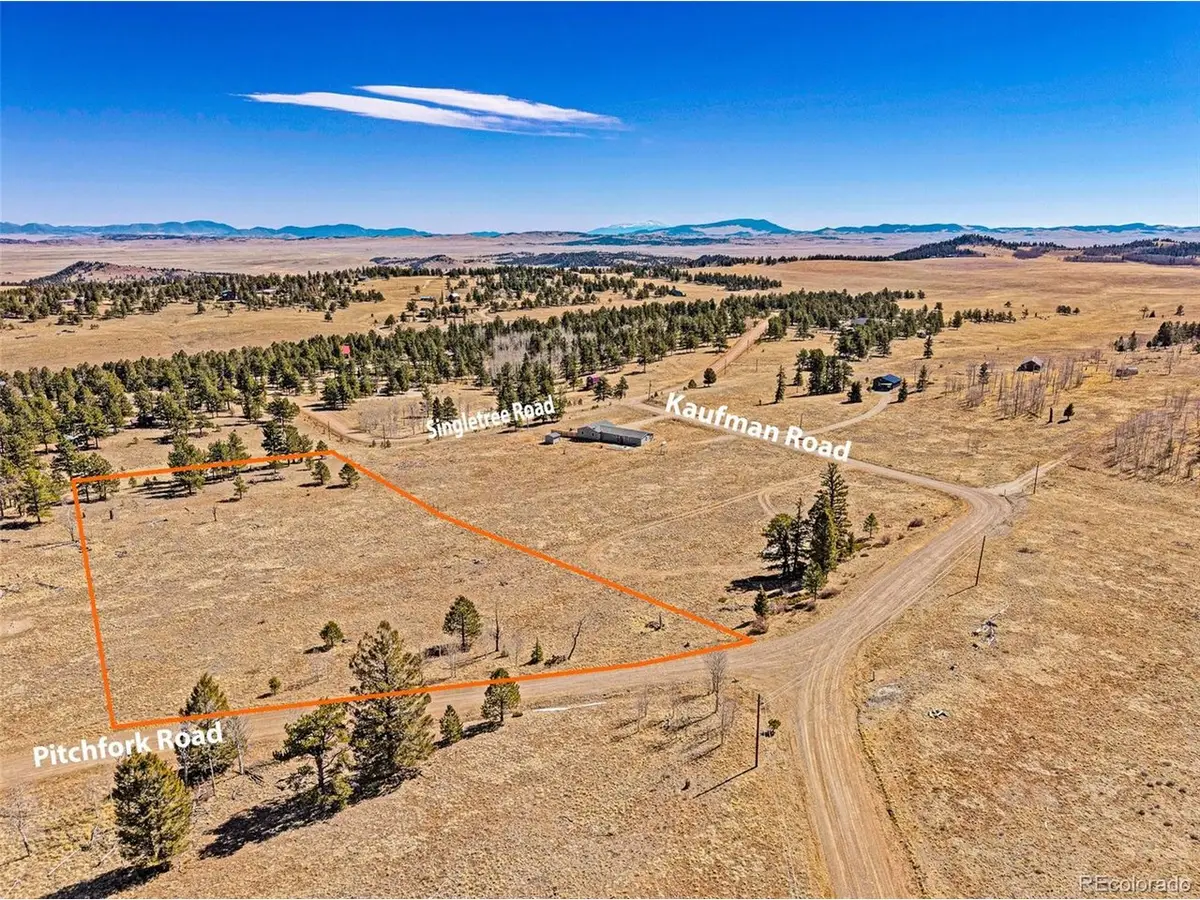 2226 Pitchfork Rd, Hartsel, CO 80449 - #1