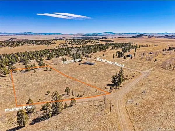 2226 Pitchfork Rd, Hartsel, CO 80449