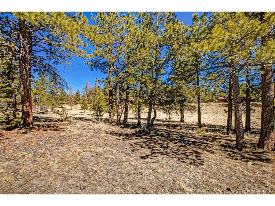 2226 Pitchfork Rd, Hartsel, CO 80449 - #2