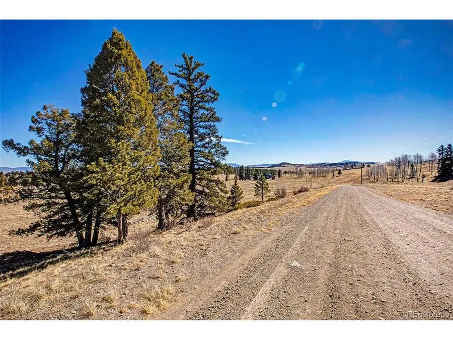 2226 Pitchfork Rd, Hartsel, CO 80449 - #3