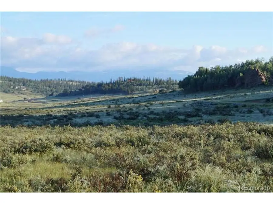 133 Puma Ct, Como, CO 80432 - #2