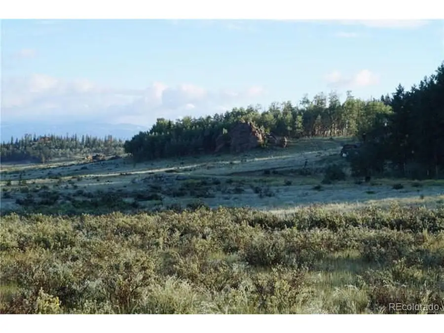 133 Puma Ct, Como, CO 80432 - #3