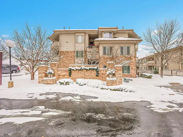 930 E Plum Creek Pkwy #205, Castle Rock, CO 80104
