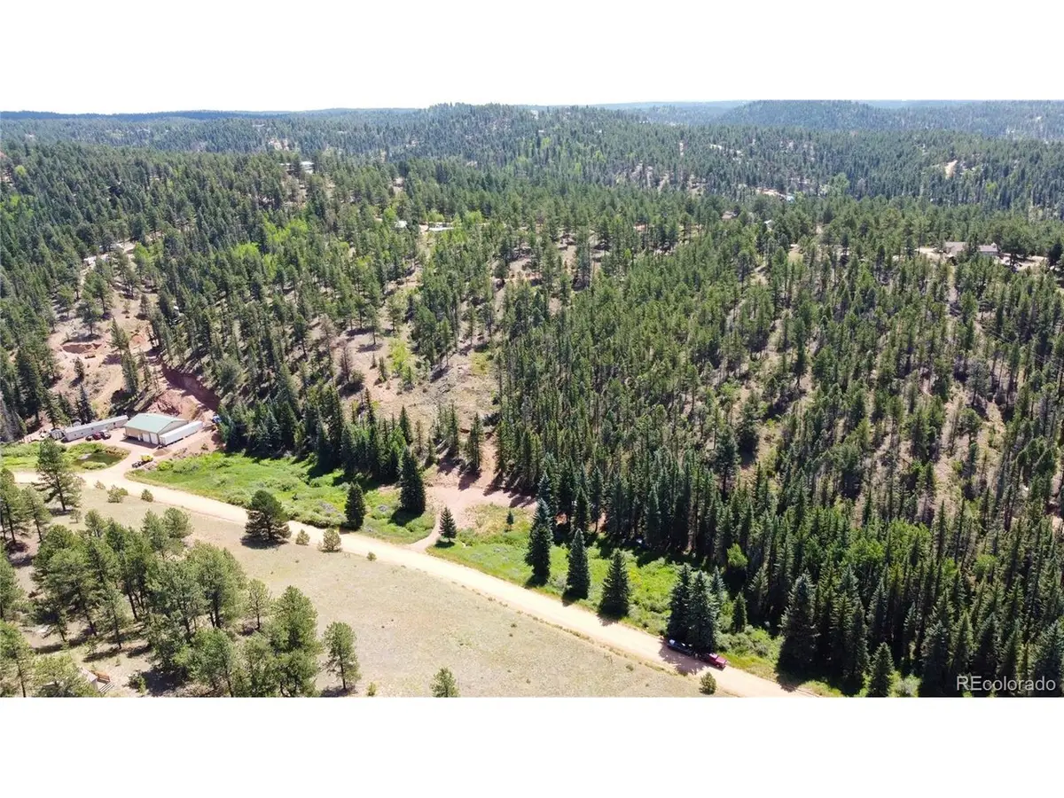 1570 Pathfinder Rd, Florissant, CO 80816 - #1