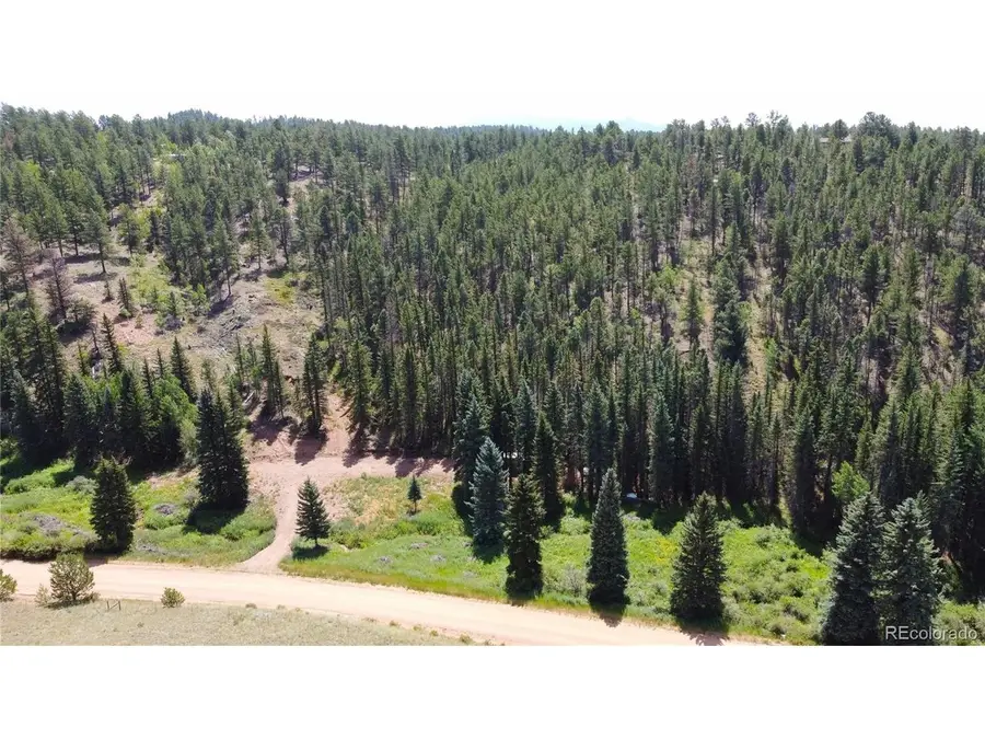 1570 Pathfinder Rd, Florissant, CO 80816 - #3