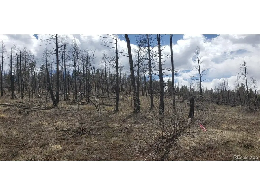 Address Withheld By Seller, Fort Garland, CO 81133 - #2