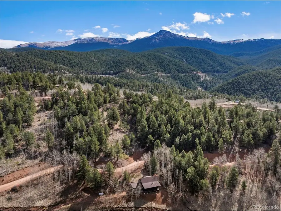 60 Beaver Pond Rd, Divide, CO 80814 - #2