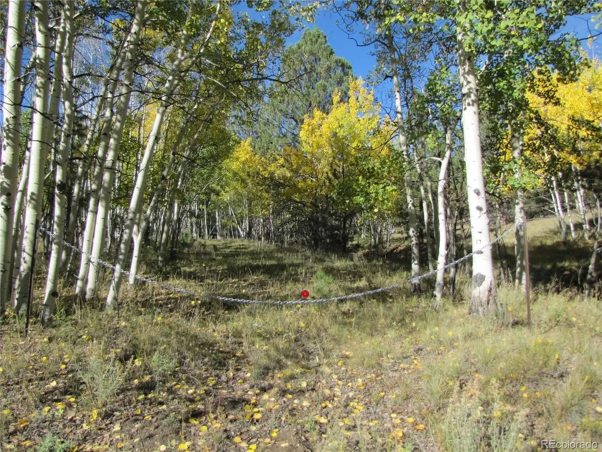 700 Campfire Rd, Hartsel, CO 80449 - #1