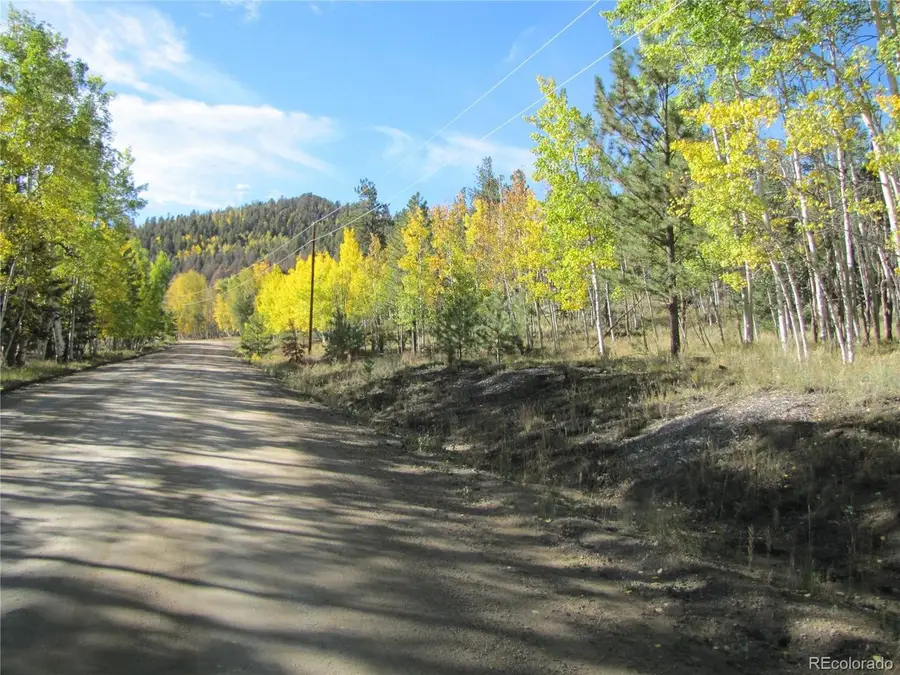 700 Campfire Rd, Hartsel, CO 80449 - #3