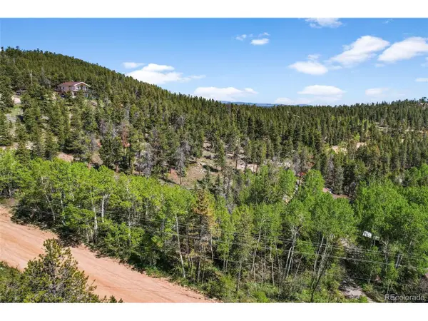 900 Rudi Ln, Golden, CO 80403