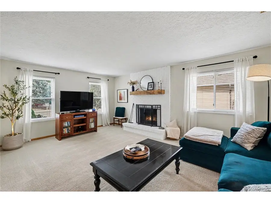 717 Shipman Mountain Ct, Windsor, CO 80550 - #3