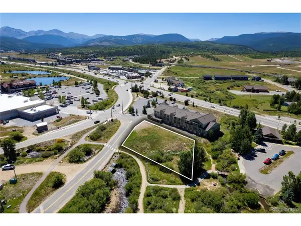 201 S Wapiti Dr, Fraser, CO 80442