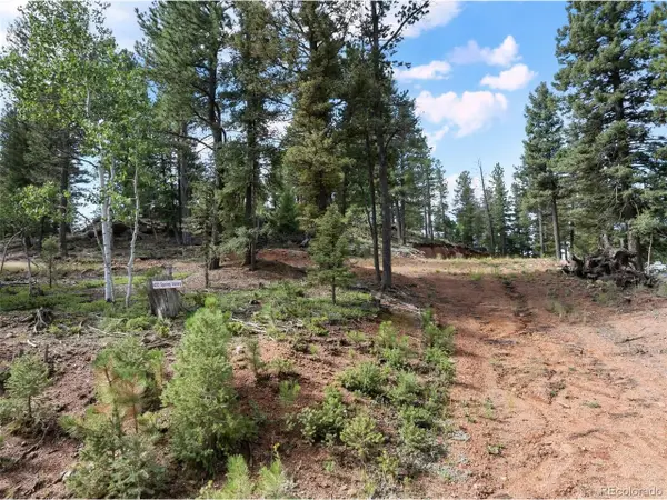 422 Spring Valley Dr, Divide, CO 80814