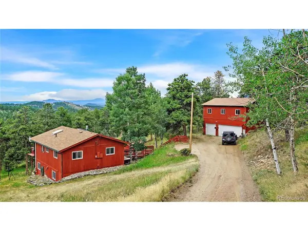 262 Dick Mountain Dr, Bailey, CO 80421