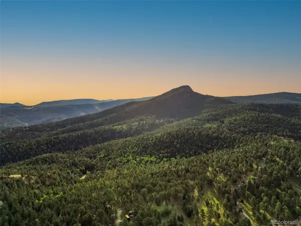 26543 Richmond Hill Rd, Conifer, CO 80433