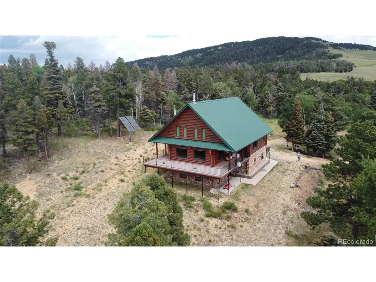 217 Greaves Ln, Fort Garland, CO 81133 - #1