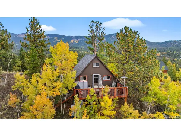 229 Mcdougal Rd, Bailey, CO 80421