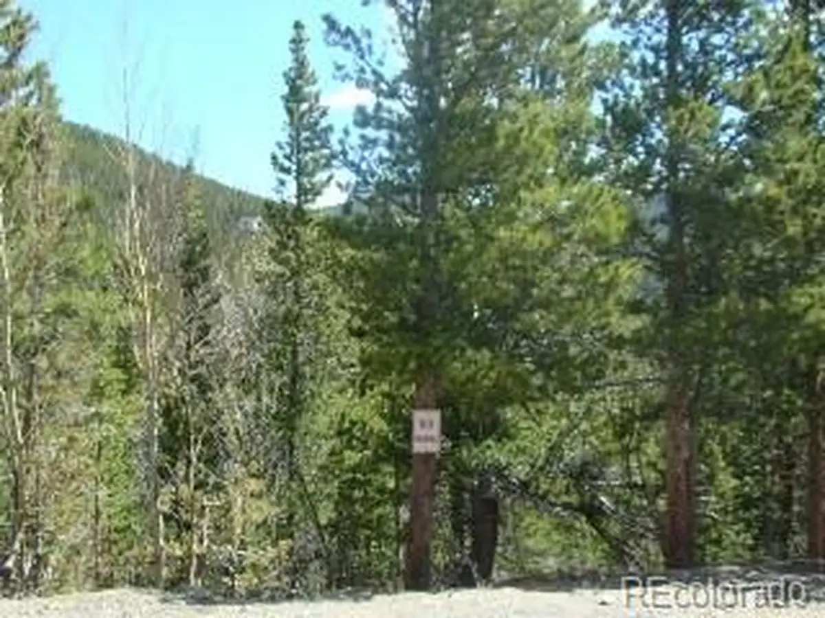W Lot 345 Alice Rd, Idaho Springs, CO 80452 - #1