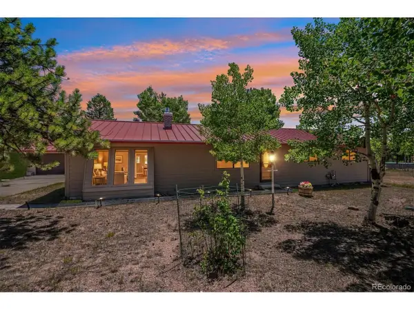 13258 S Mohawk St, Pine, CO 80470