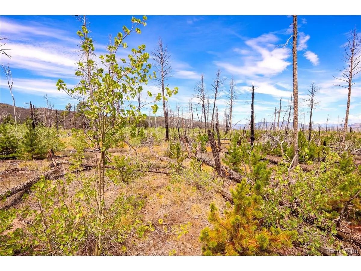 1386 Emery Loop, Fort Garland, CO 81133 - #1