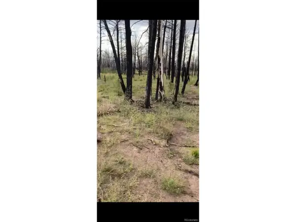 1386 Emery Loop, Fort Garland, CO 81133