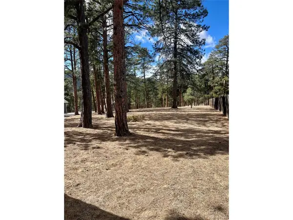 0 Pawnee Rd, Indian Hills, CO 80454