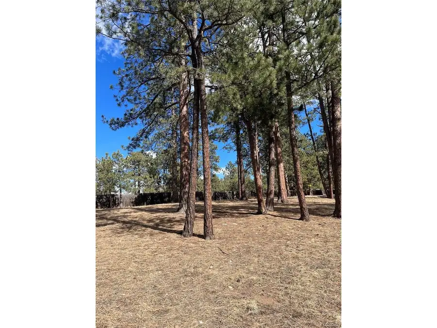 0 Pawnee Rd, Indian Hills, CO 80454 - #2