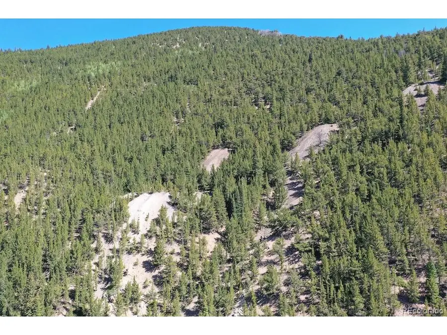 0 Silver Street, Silver Plume, CO 80476 - Image #3