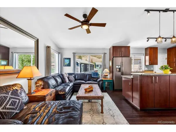 796 Alpine Rd, Dillon, CO 80435