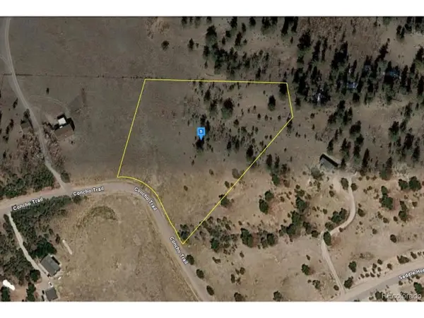 970 Pack Saddle Rd, Hartsel, CO 80449