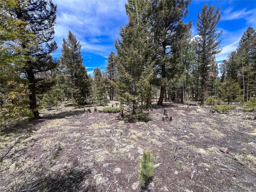 1980 Pitchfork Rd, Hartsel, CO 80449 - #3