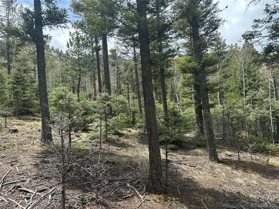 357 Big Horn, Manitou Springs, CO 80829 - #3